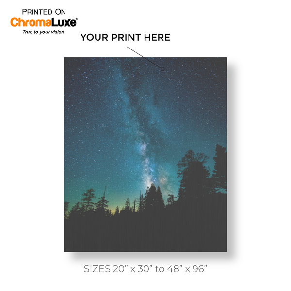 Large Portrait Clear Aluminum Prints | High Gloss Finish