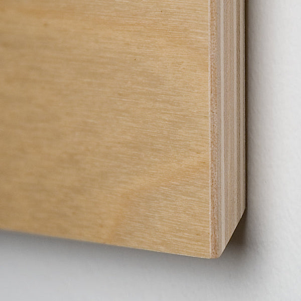 New York Central Park | Graphic Wood Print