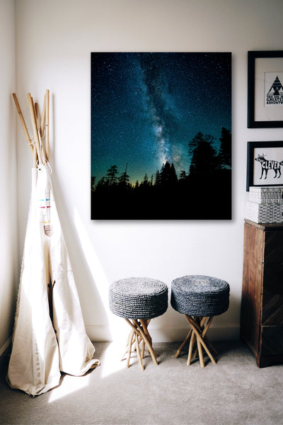 Large Portrait Clear Aluminum Prints | High Gloss Finish