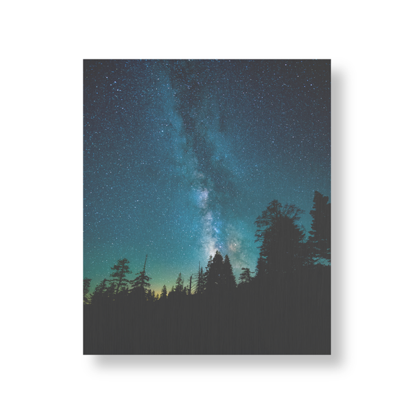 Large Portrait Clear Aluminum Prints | High Gloss Finish