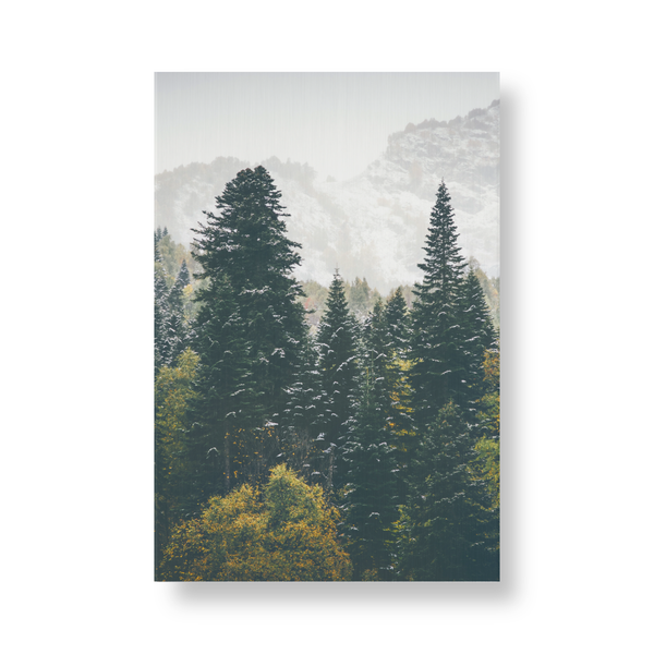 Large Portrait Clear Aluminum Prints | Semi Gloss Finish