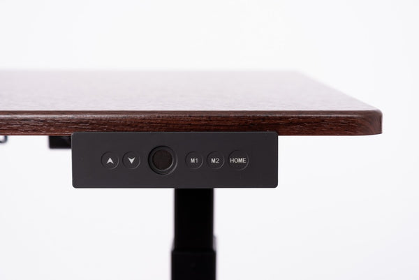 3-Stage Dual-Motor Electric Stand Up Desk