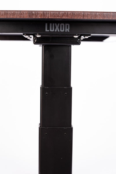 3-Stage Dual-Motor Electric Stand Up Desk