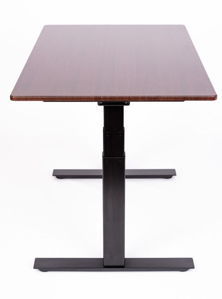 3-Stage Dual-Motor Electric Stand Up Desk