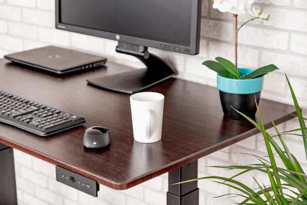 3-Stage Dual-Motor Electric Stand Up Desk