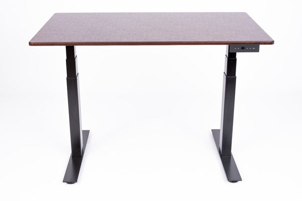 3-Stage Dual-Motor Electric Stand Up Desk