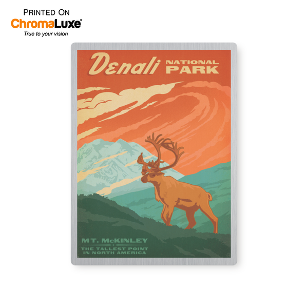 Denali | Graphic Metal Print