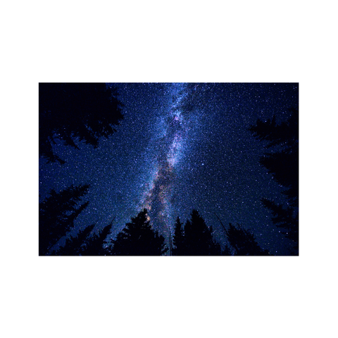 Woodland Milky Way | Wood Print | Landscape Wood Print Collection