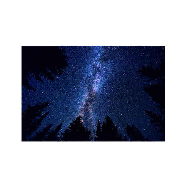 Woodland Milky Way | Metal Print | Landscape Metal Print Collection