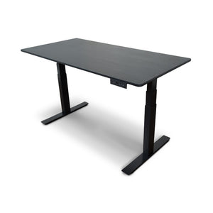 3-Stage Dual-Motor Electric Stand Up Desk